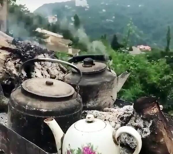 عکس چای ذغالی