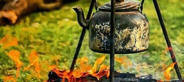 عکس چای ذغالی