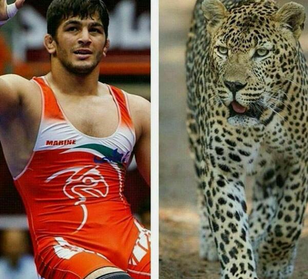عکس جدید حسن یزدانی