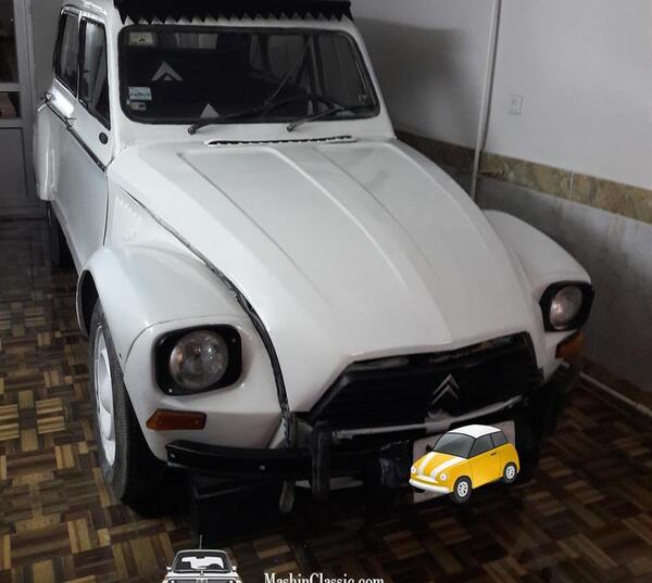 عکس ژیان سفید