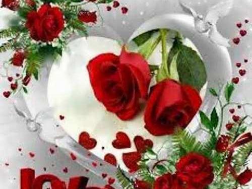 عکس عشقم گل