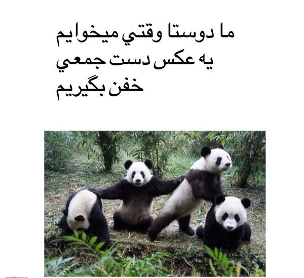 عکس خنده دار طبیعت