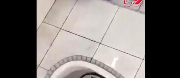 عکس کیک تولد چاه دستشویی