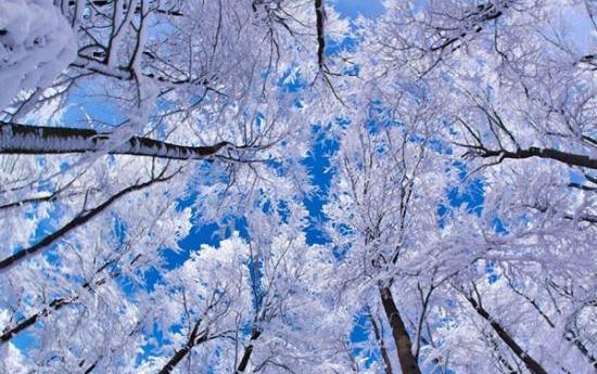 عکس زیبای طبیعت برفی