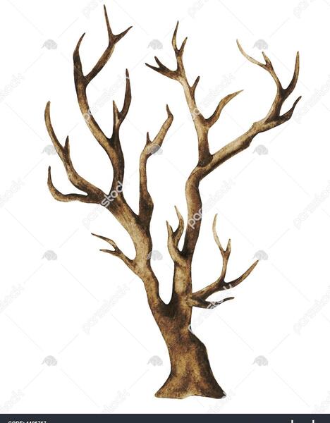 عکس نقاشی درخت