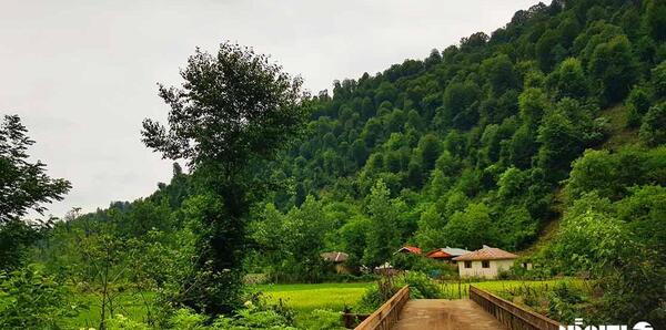 عکس جاهای دیدنی ضیابر
