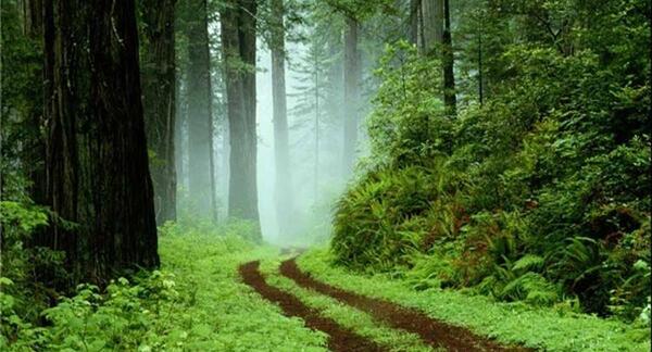 عکس جاهای دیدنی ضیابر