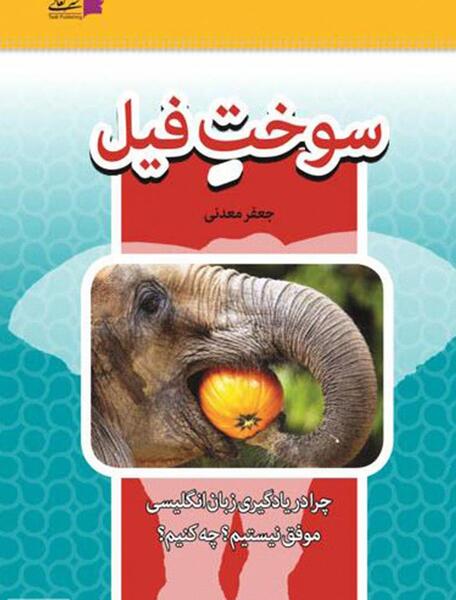 عکس فیل قرمز