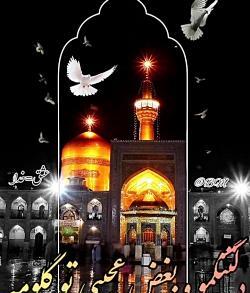 عکس استوری امام رضا