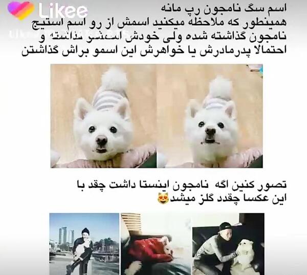 عکس حیوانات گروه بی تی اس