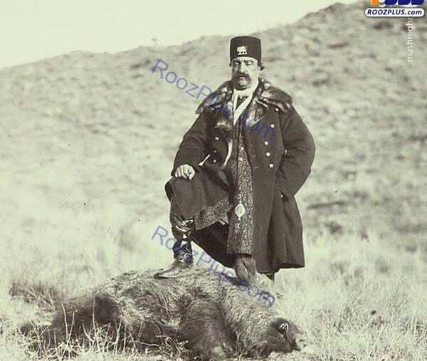 عکس وحشتناک گراز
