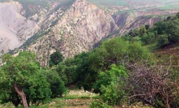 عکس جاهای دیدنی شهرستان ثلاث باباجانی