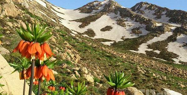 عکس جاهای دیدنی شهرستان ثلاث باباجانی