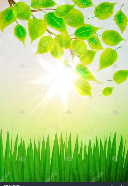 عکس زمینه تابستانی