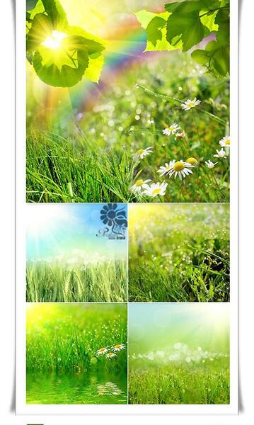 عکس زمینه تابستانی