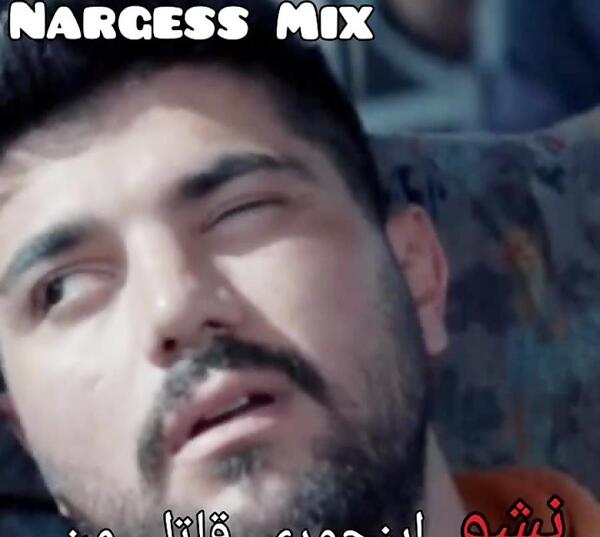 عکس استوری ژن خوک