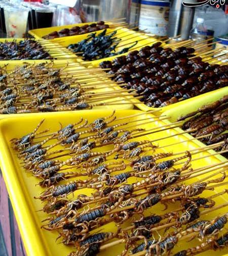 عکس غذای چینی سوسک