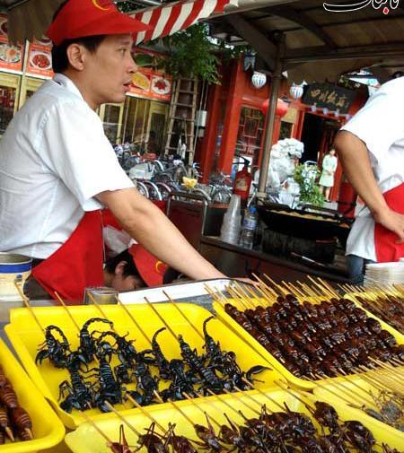 عکس غذای چینی سوسک