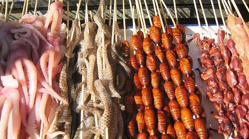 عکس غذای چینی سوسک