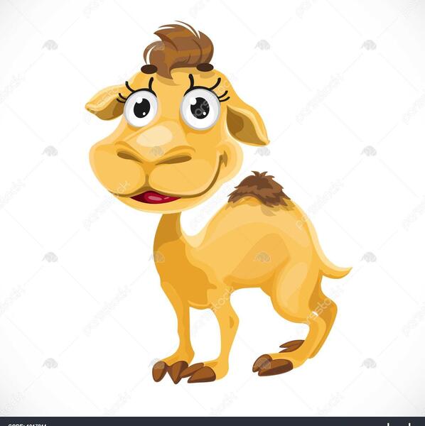 عکس شتر با بچه