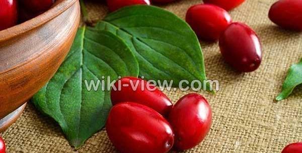 عکس نوشته زغال اخته