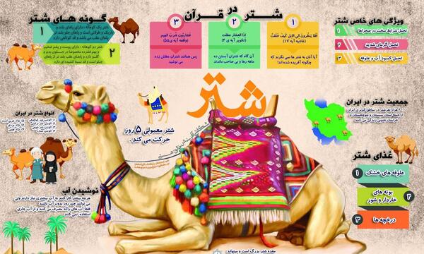 عکس نوشته درباره ی شتر