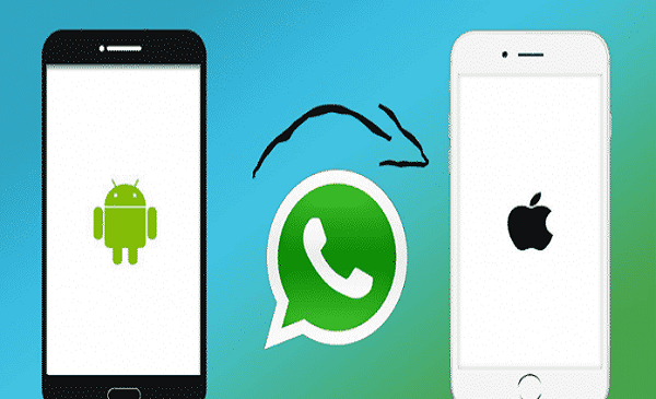 عکس صفحه چت واتساپ ایفون