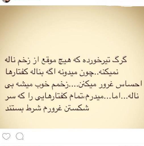 عکس گرگ زخم خورده