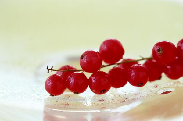 عکس میوه زرشک