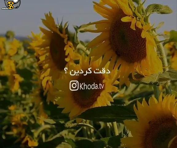 عکس استوری یاد خدا