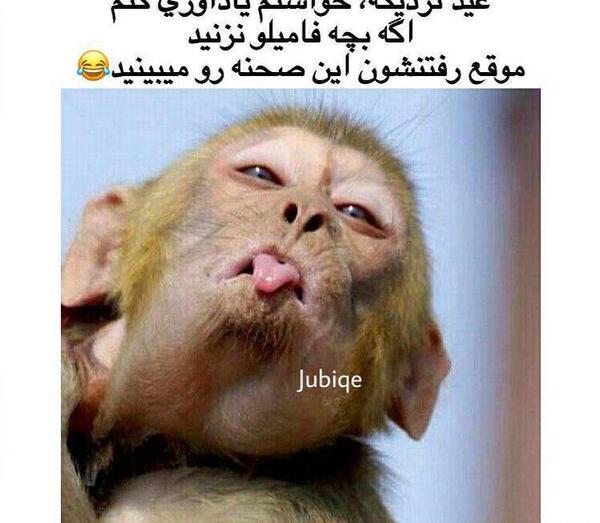 عکس بچه فامیل