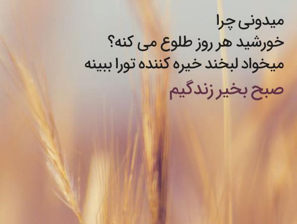 عکس صبح بخیر همسر مهربانم