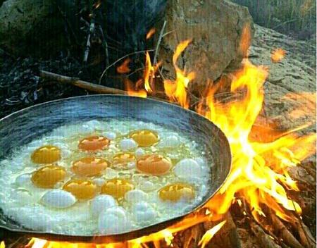 عکس صبح بخیر و صبحانه