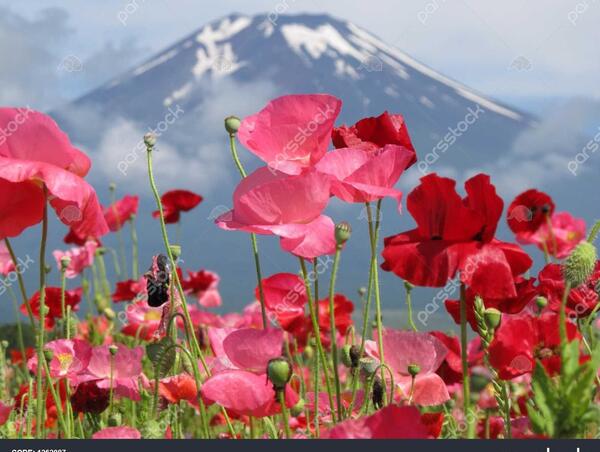 عکس های زیبای طبیعت ایران