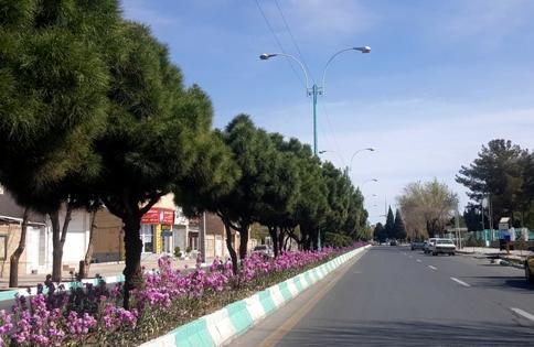 عکس شهر رفسنجان