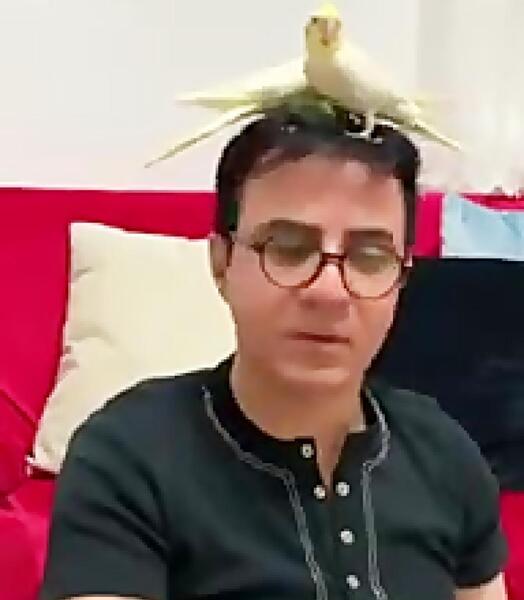 عکس کارتونی عروس هلندی