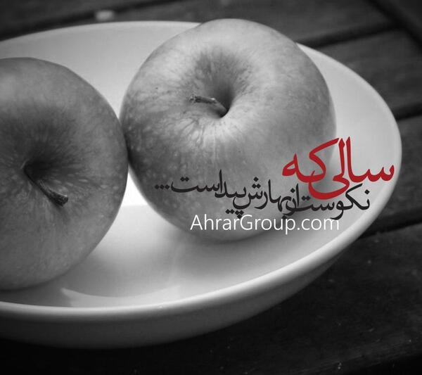 عکس ضرب المثل سالی که نکوست از بهارش پیداست