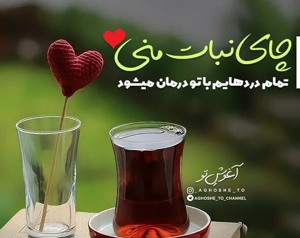 عکس چای نبات