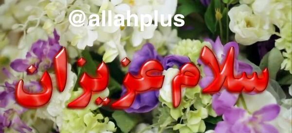 عکس تصویر ظهر بخیر