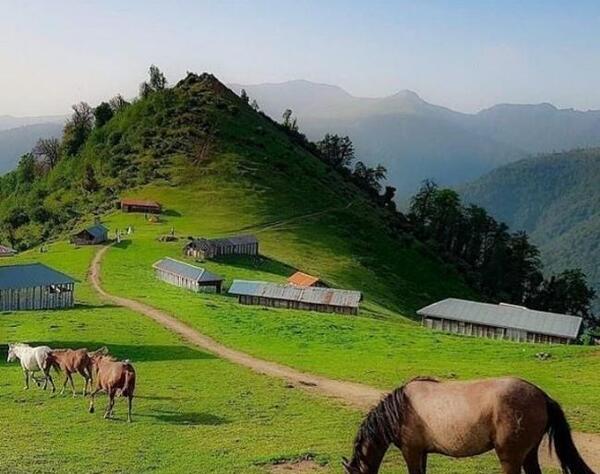 عکس پروفایل طبیعت گیلان