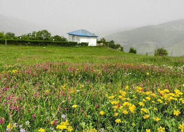 عکس پروفایل طبیعت گیلان