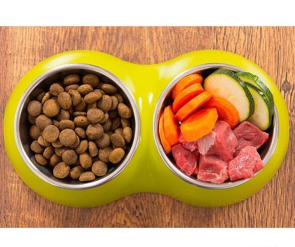 عکس غذای سگ ژرمن