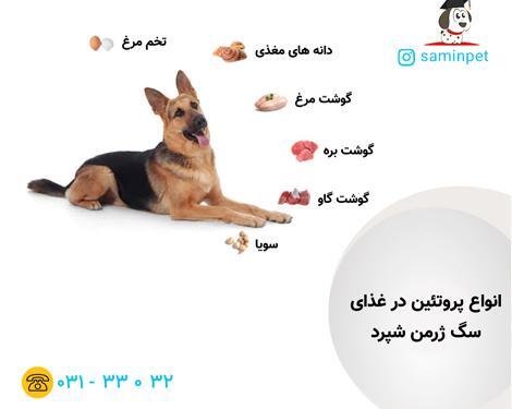 عکس غذای سگ ژرمن