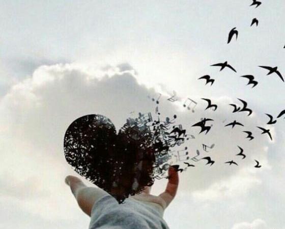 ژست عکس قلب
