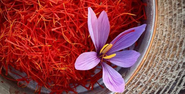 عکس تبلیغاتی زعفران