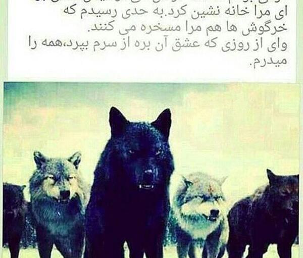 عکس نوشته عاشقانه گرگ