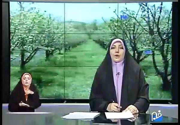 عکس سوسک گرده خوار