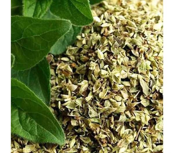 عکس گیاه مرزنجوش