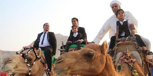عکس شتر عروسی