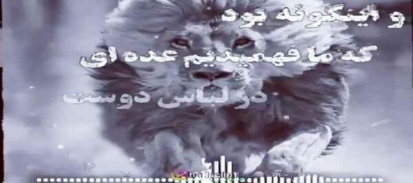 عکس وضعیت واتساپ گنگ
